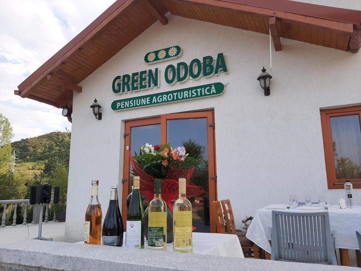 Pensiunea Agroturistica Green Odoba Satuc Luaran gambar