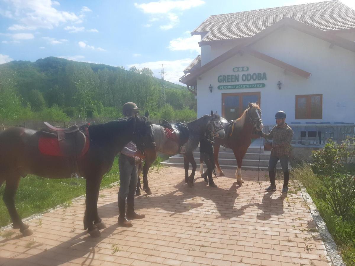 Pensiunea Agroturistica Green Odoba Satuc Luaran gambar