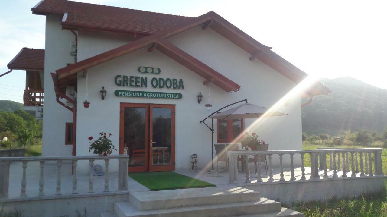 Pensiunea Agroturistica Green Odoba Satuc Luaran gambar