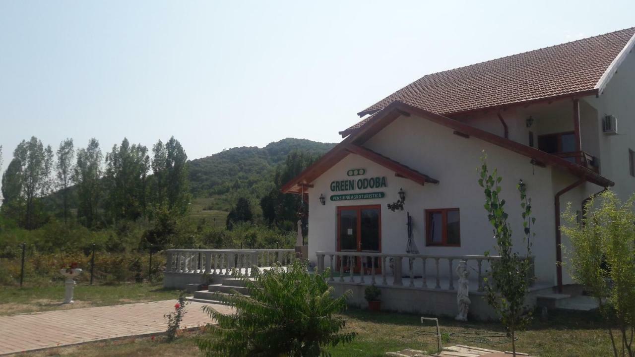 Pensiunea Agroturistica Green Odoba Satuc Luaran gambar