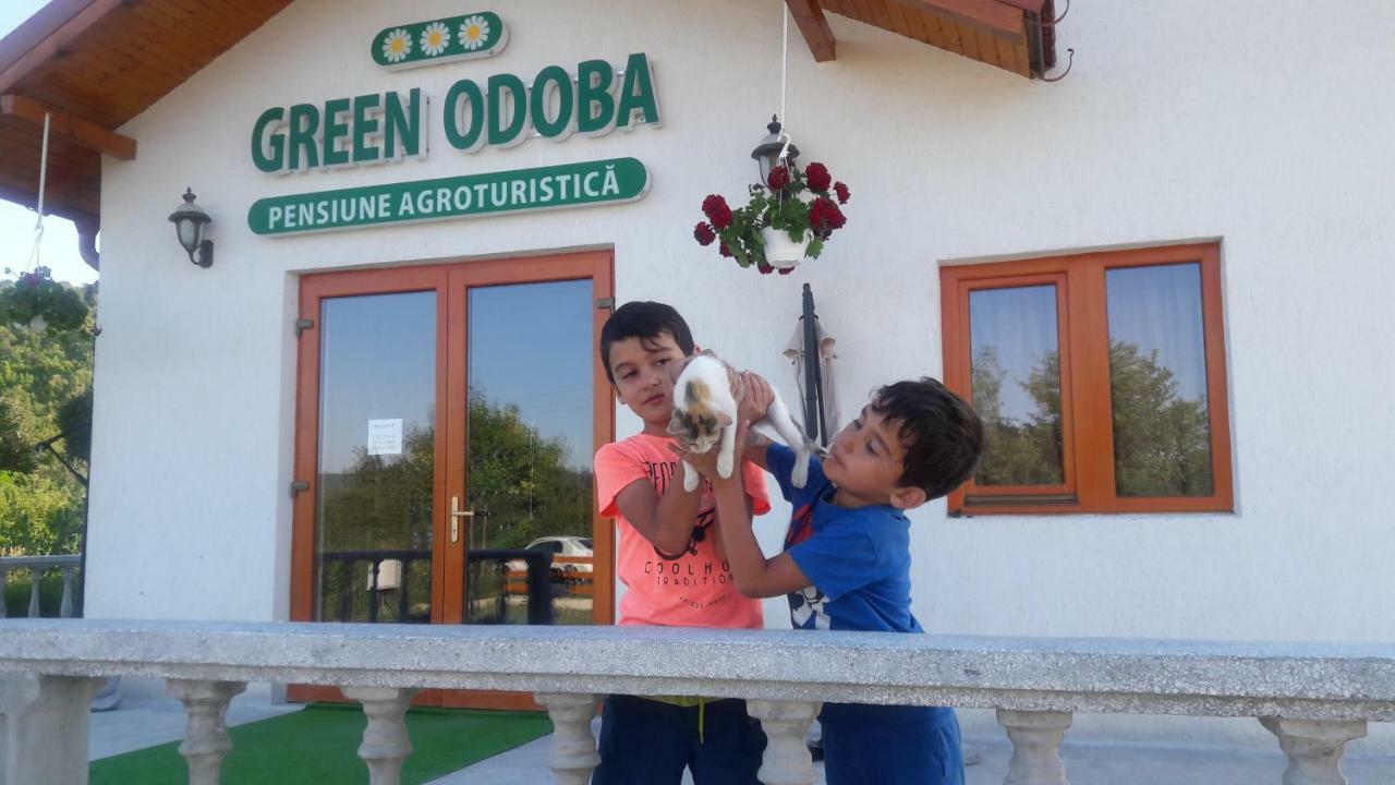 Pensiunea Agroturistica Green Odoba Satuc Luaran gambar